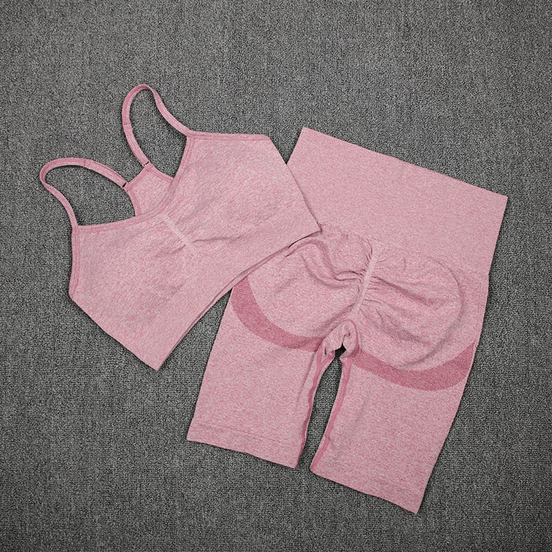 CHRLEISURE 2/3/4 Piece Gym Yoga Set Women Seamless Sportswear Outfits Workout Fitness Shorts for Female Sports Leggings Suit - Alcoholic Hair