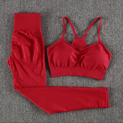 CHRLEISURE 2/3/4 Piece Gym Yoga Set Women Seamless Sportswear Outfits Workout Fitness Shorts for Female Sports Leggings Suit - Alcoholic Hair