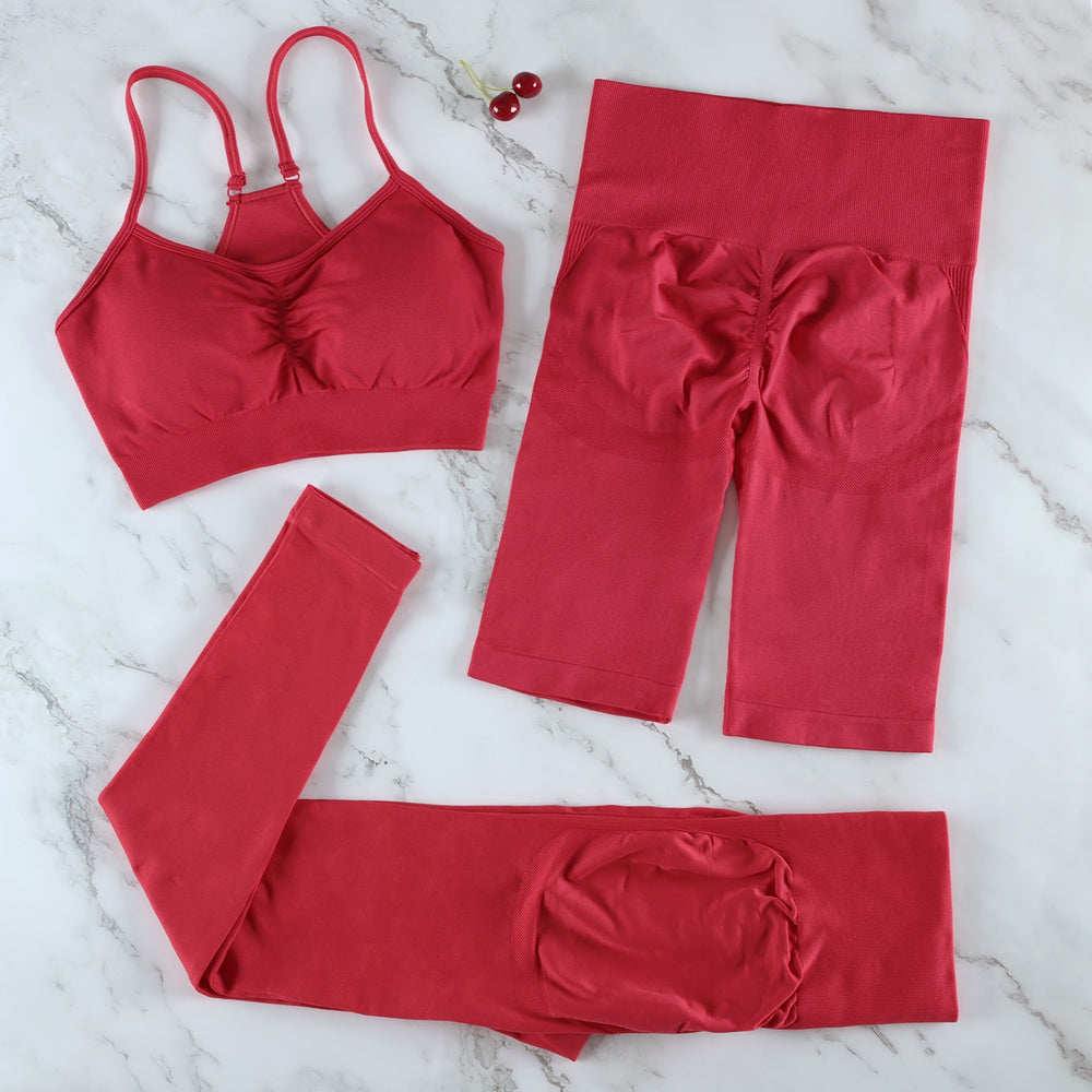 CHRLEISURE 2/3/4 Piece Gym Yoga Set Women Seamless Sportswear Outfits Workout Fitness Shorts for Female Sports Leggings Suit - Alcoholic Hair